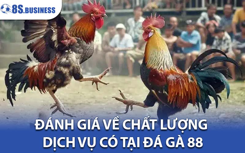 đá gà 88