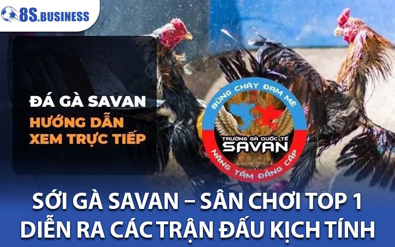 Sới gà Savan